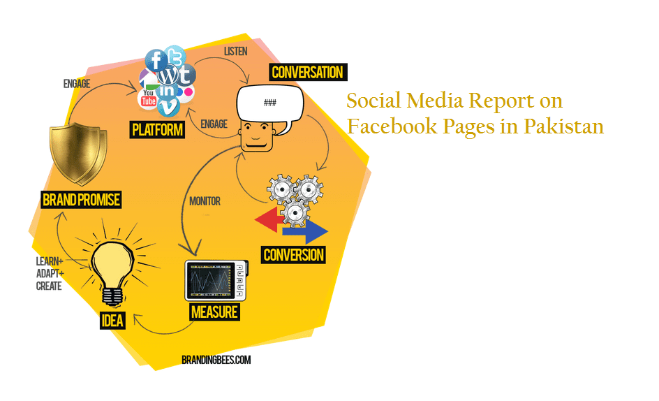 Report on Facebook Pages in Pakistan 2012