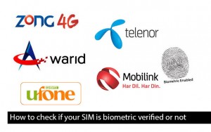 How to check if your SIM is biometric verified or not