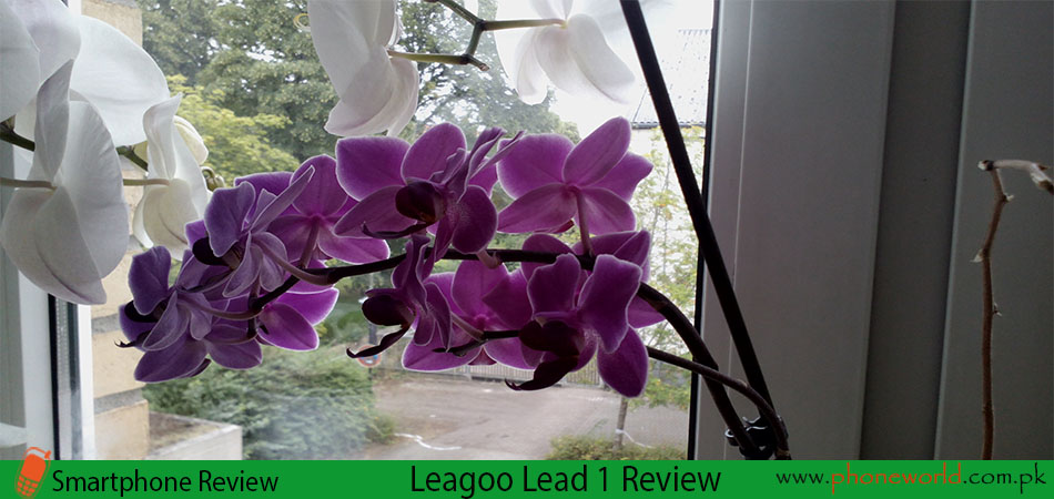 leagoo lead 1