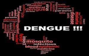 Telenor Uses Large Mobile Data to Fight Dengue in Pakistan