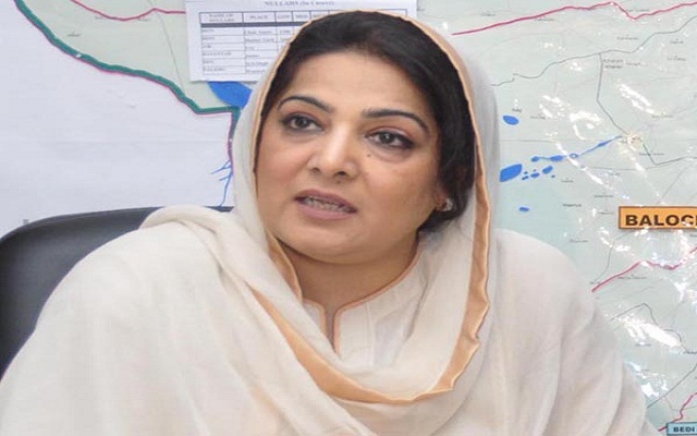 Chinese Delegation Calls on Anusha Rehman- To Invest in IT Parks & E-Stores