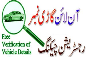 How to Check Vehicle Registration Online