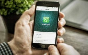 WhatsApp to Roll Out GIF Feature