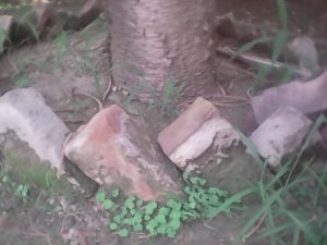 haier pursuit g40 2mp front camera picture quality