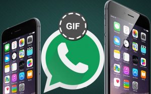 Whatsapp Adds GIF Support for Android Users