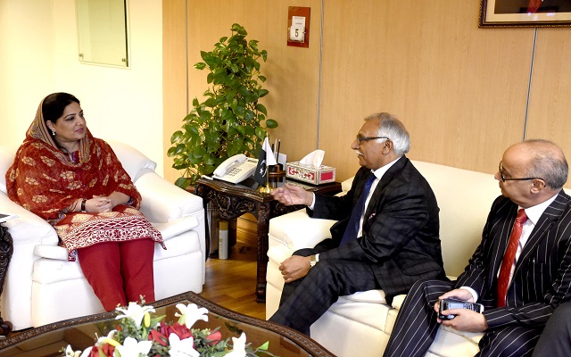 U.K Delegation Calls on Anusha Rehman to Discuss Cooperation in IT Sector