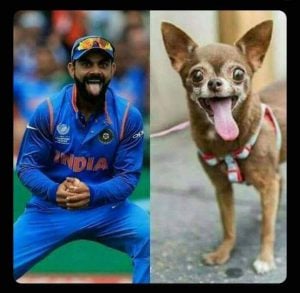 PAK Vs IND: Social Media Exploded with Joke and Meme After Pakistan's Victory