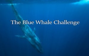 18 Years Old Pakistani Entrepreneur Developed an Anti Blue Whale Game