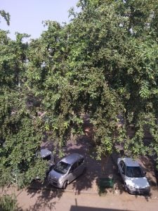 vivo v7 plus back camera results