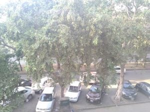 xiaomi mi a1 back camera results