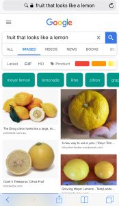 Google Images Caption Update: Captions added to Google Images on mobile searches 