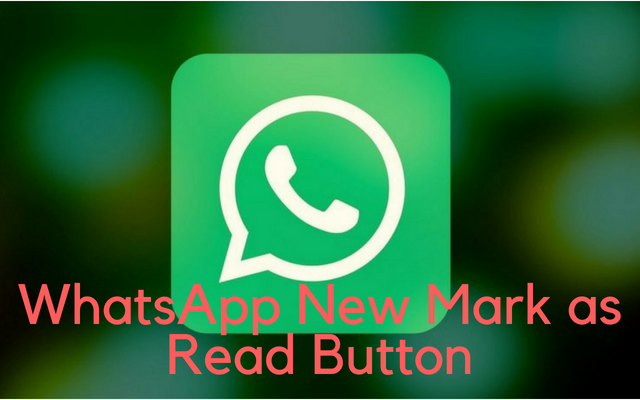 Addition of WhatsApp Mark as Read Button in Android will Save Many Relations