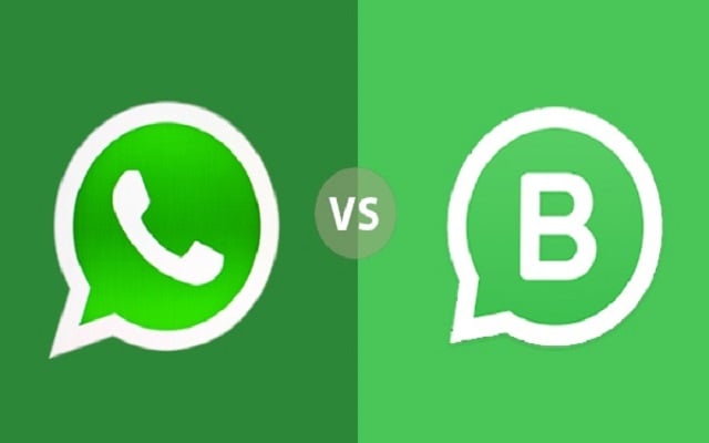 WhatsApp Messenger VS WhatsApp Business: Differences & Similarities