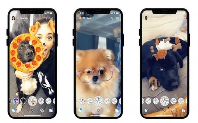 Snapchat Reveals Dogs Lenses