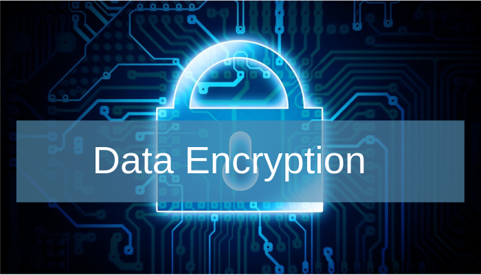 Data Encryption- A Detailed Insight Is it Enough Security for the People?