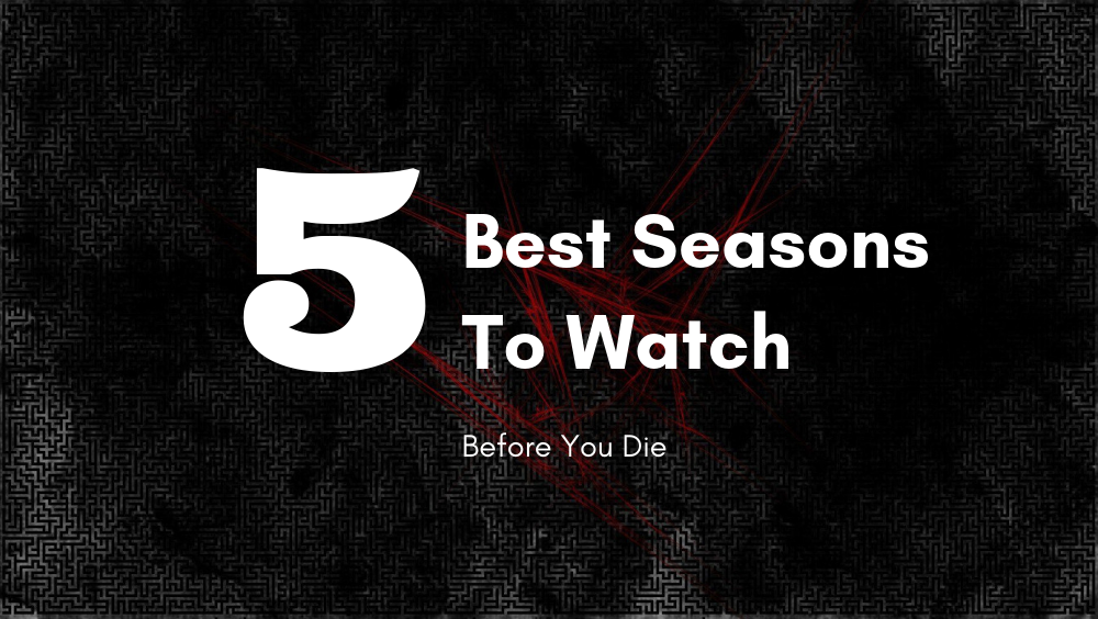 5 Best TV Seasons To Watch Before You Die