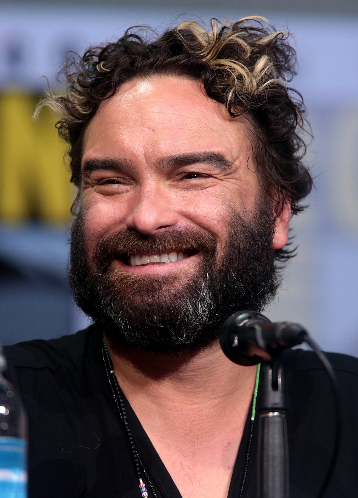 john Galecki Highest paid TV actors