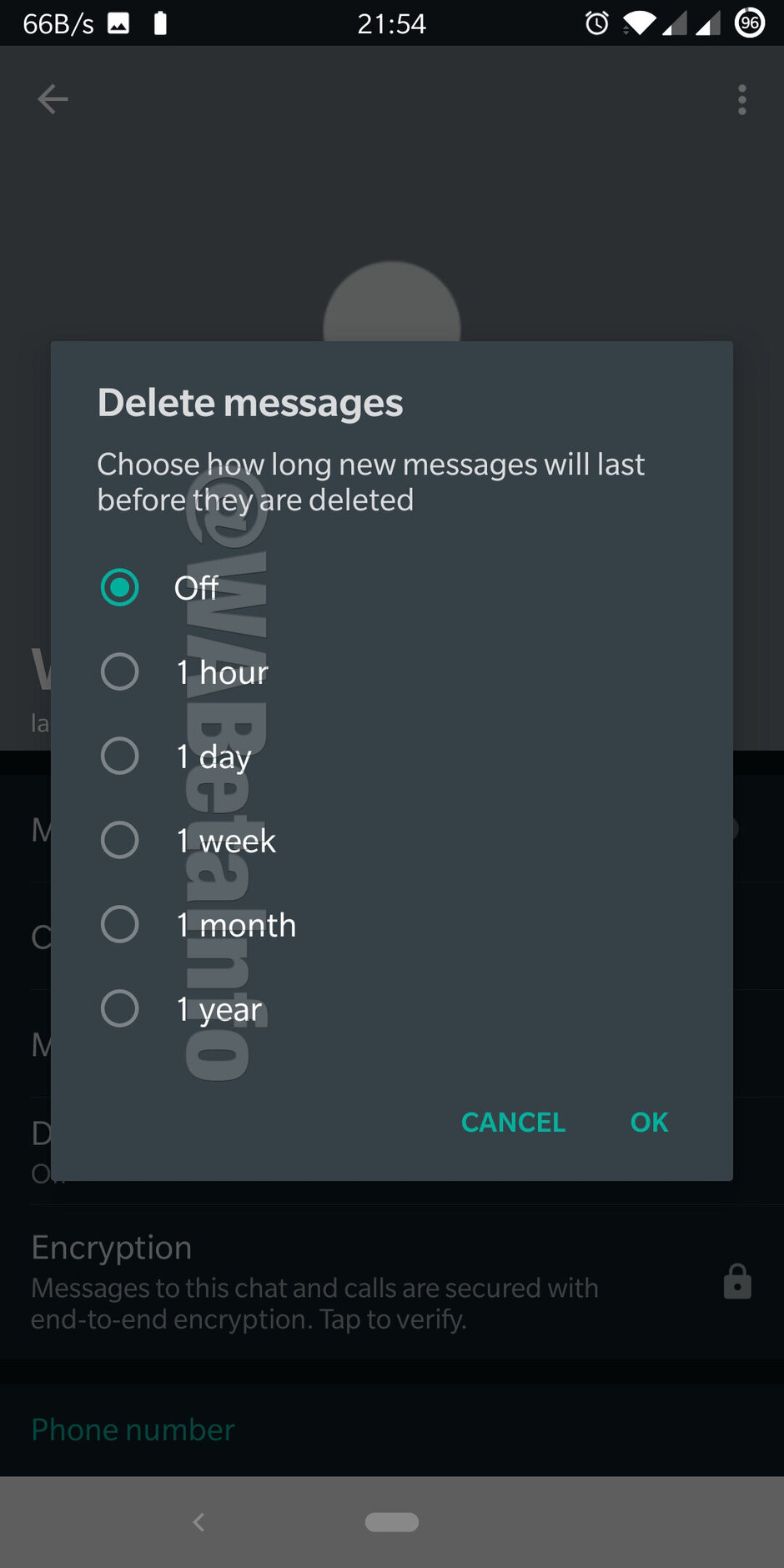 WhatsApp-self-destructing-messages