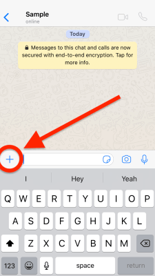 fake gps whatsApp iOS