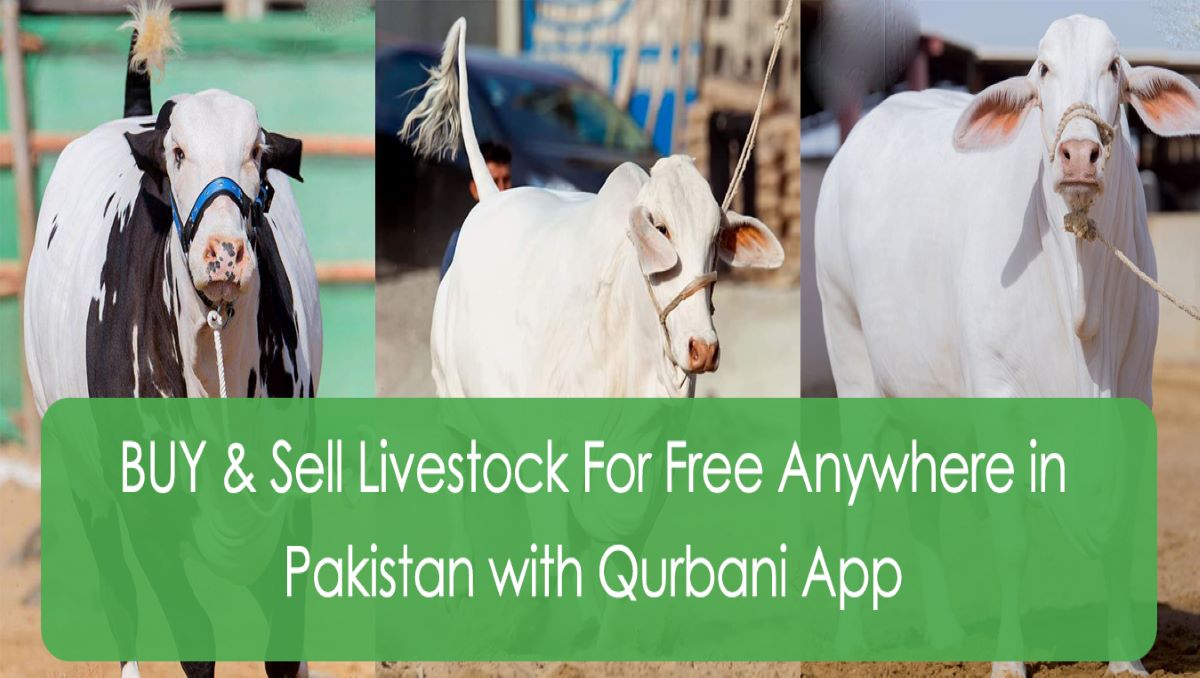 Qurbani App