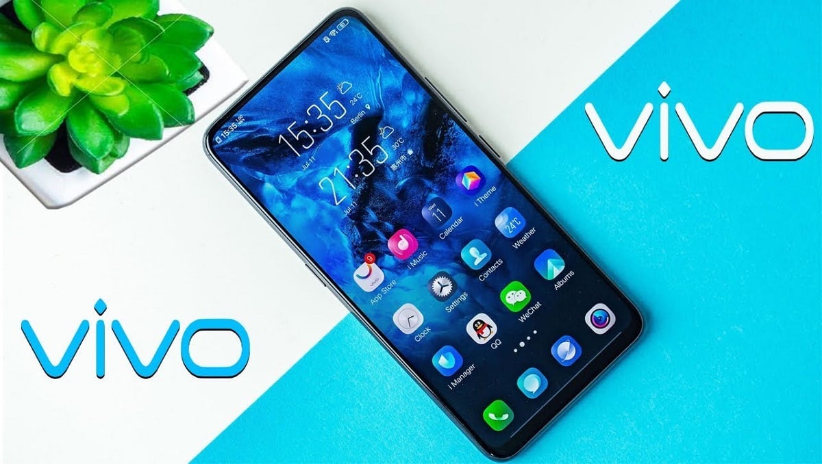 Vivo