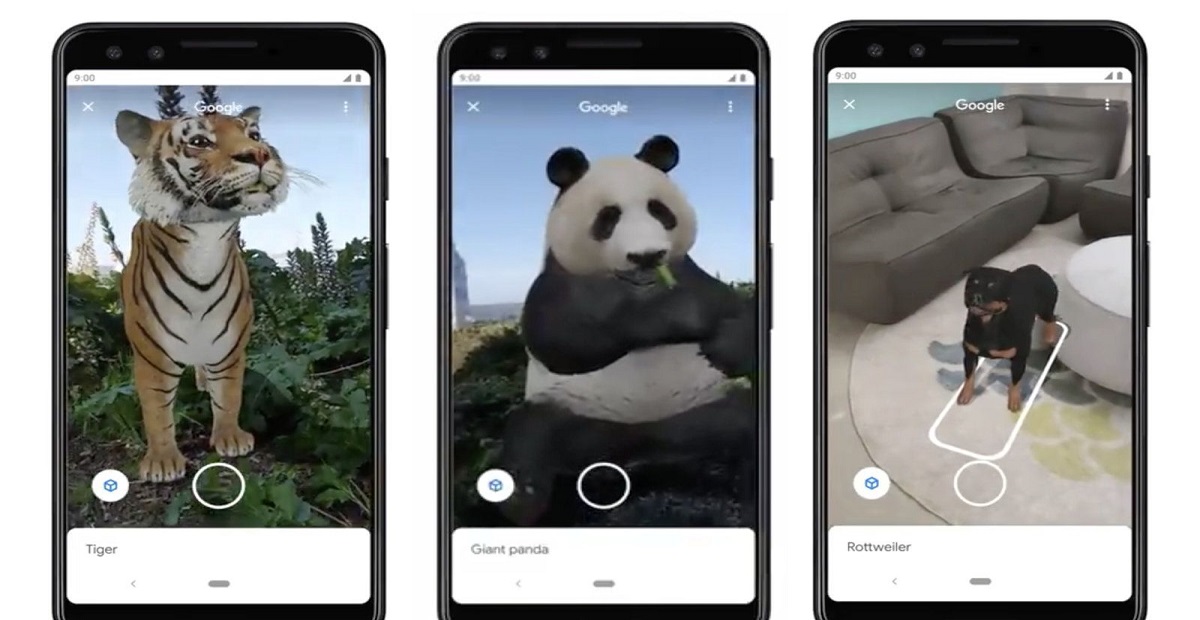 Google Adds 50 New Animals to its Augmented Reality Feature