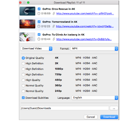 green arrow appears below youtube videos downloader for mac green arrow appears below youtube videos downloader for mac