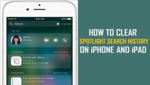 How to Clear Spotlight Search History on iPhone?