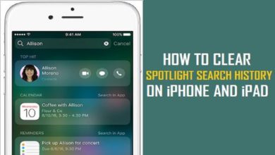 How to Clear Spotlight Search History on iPhone?