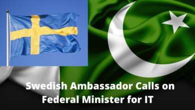 Ambassador of Sweden Calls on Federal Minister for IT