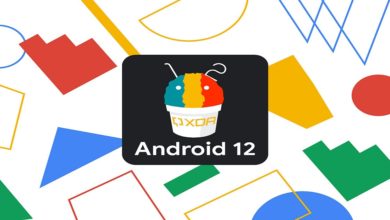 Google Launches Android 12 Beta 2.1 with bug fixes