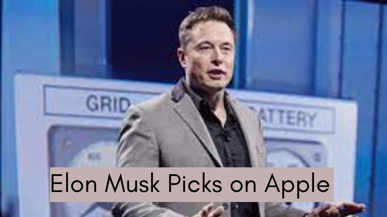 Elon Musk Picks on Apple During Tesla Earning Call