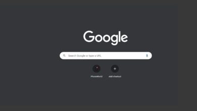 Google Search Engine Technology