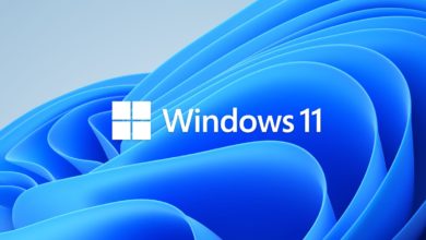 Windows 11 Pro Microsoft Account