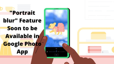 "Portrait blur" Feature Soon to be Available in Google Photo App