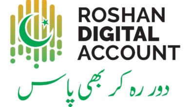 inflows roshan digital account