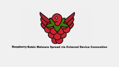 Raspberry Robin malware