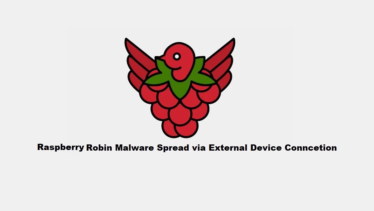 Raspberry Robin malware