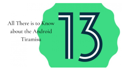 All There is to Know about the Android 13 Tiramisu