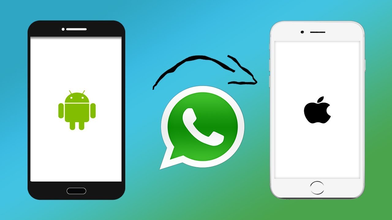 transfer whatsApp chat from Android to iPhone