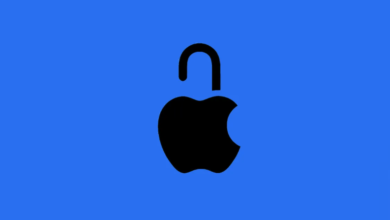 Apple id Password