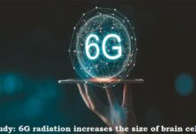 6G Radiation