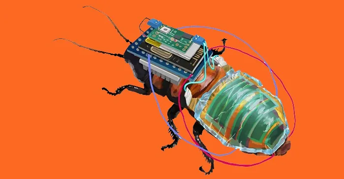 Cyborg Cockroach