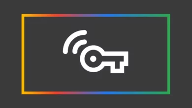 VPN