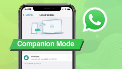 WhatsApp Companion mode devices