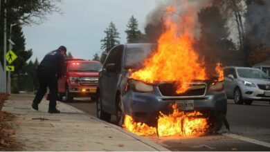 Why Do Electric Vehicles Catch Fire