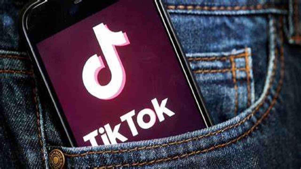 TikTok Search Widget