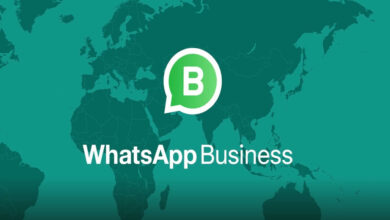 WhatsApp Status Archive Feature