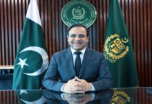 Govt To Set Up 5,000 Joint E-Working Centers For Freelancers: Dr. Umar Saif