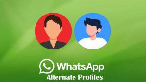 Whatsapp alternate profiles